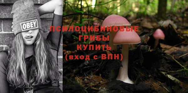 мет Алзамай